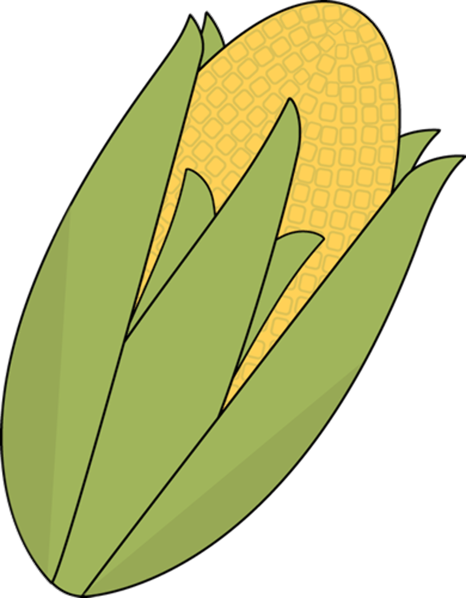 corn clipart ear