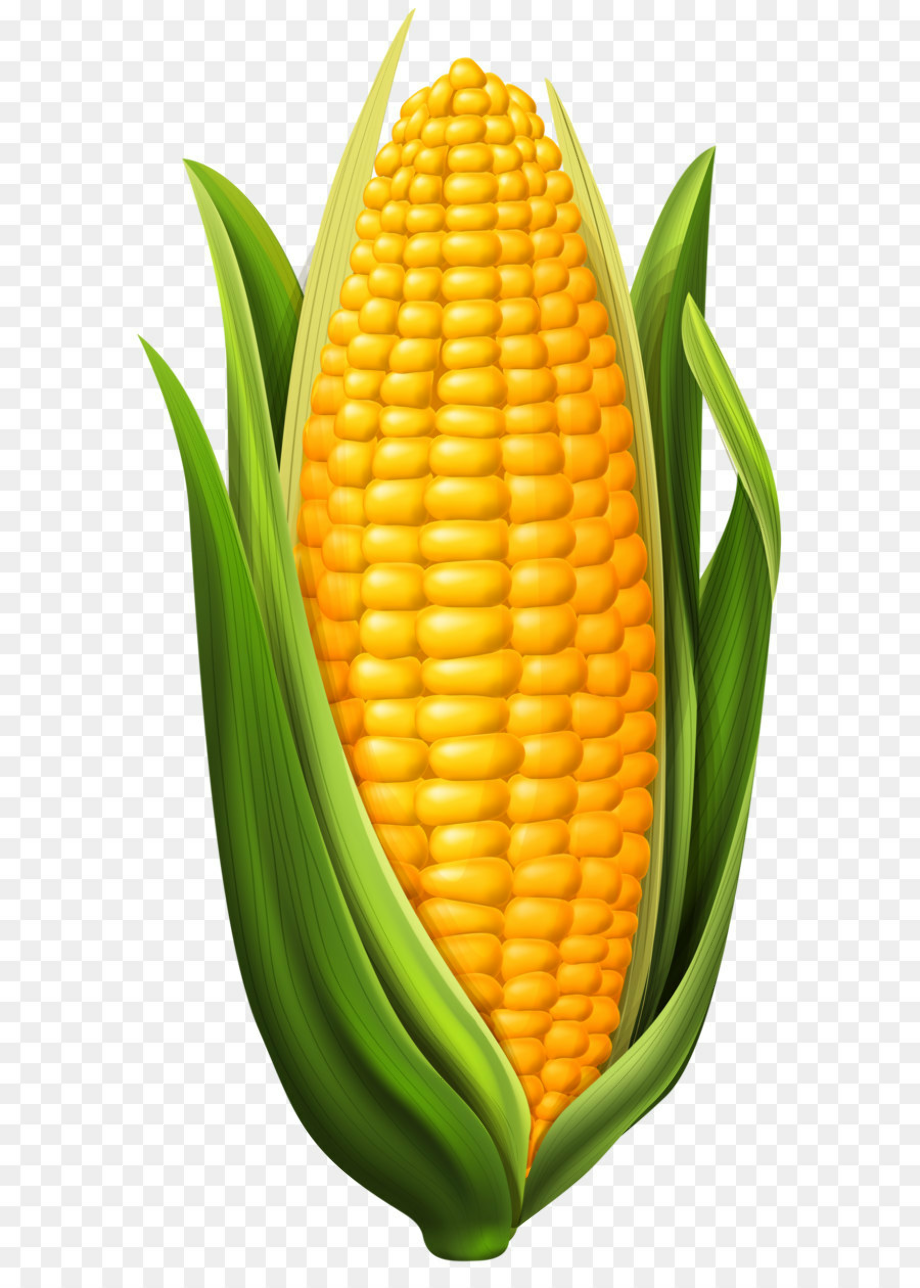 download high quality corn clipart husk transparent png images art
