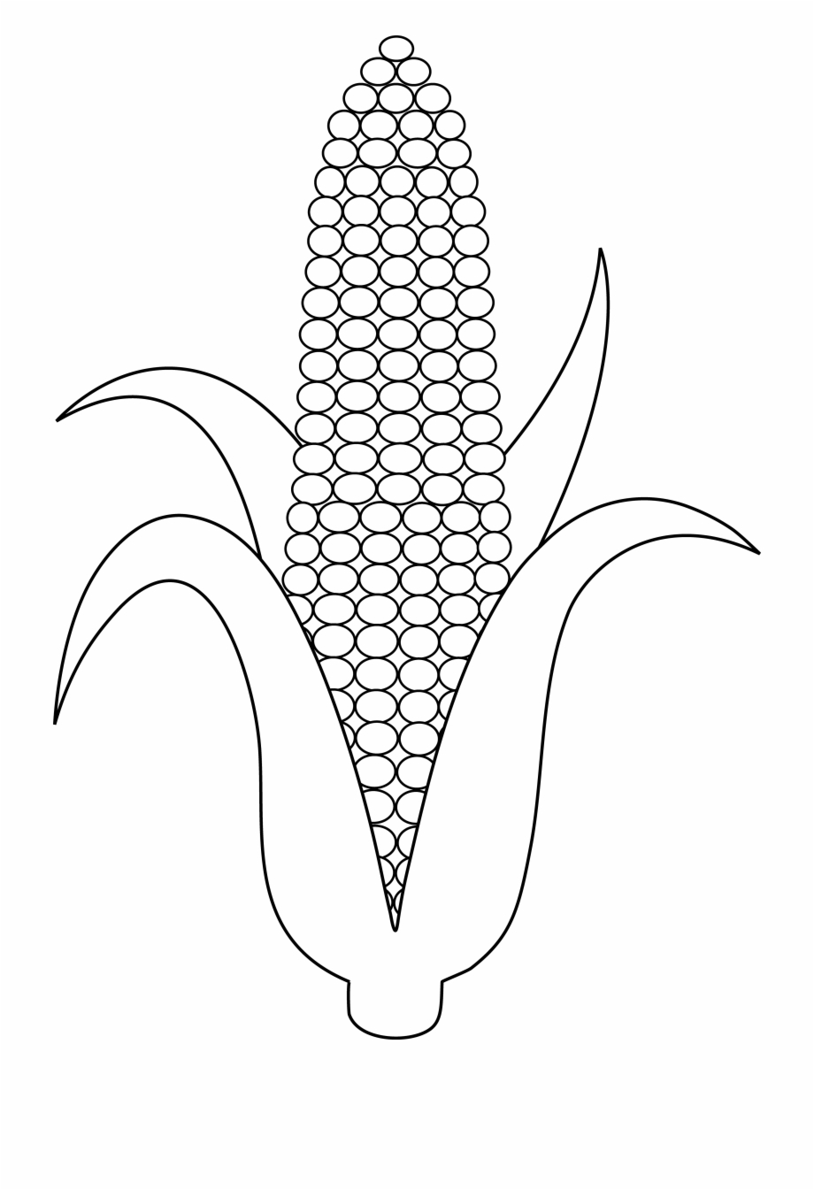Corn Outline Printable