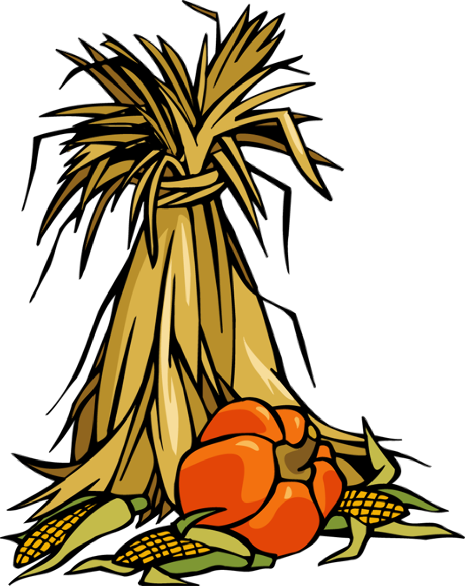 Download High Quality corn clipart stalk Transparent PNG Images - Art