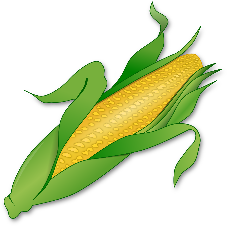 corn clipart transparent background