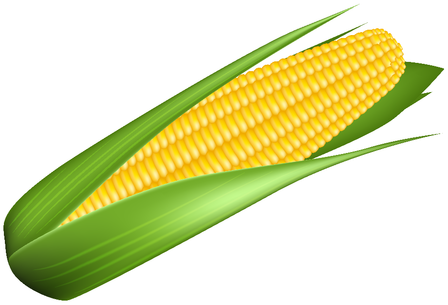 Free Free Sweet Corn Svg 269 SVG PNG EPS DXF File