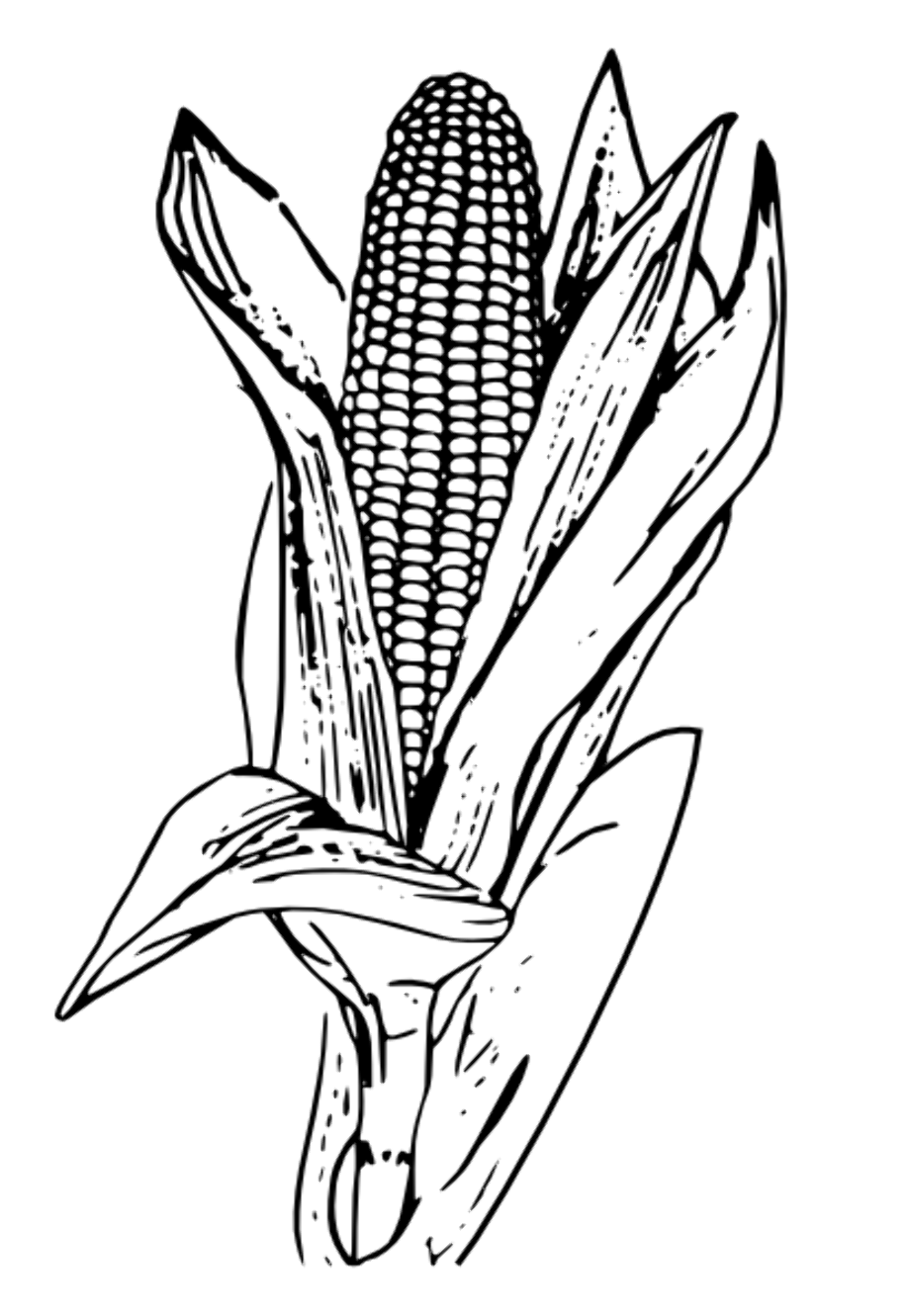 Download High Quality corn clipart white Transparent PNG Images - Art ...