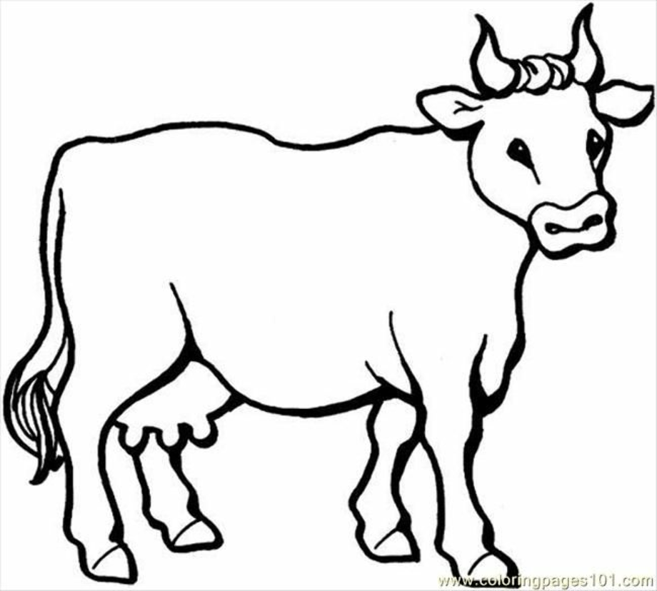 cow clipart black and white kid