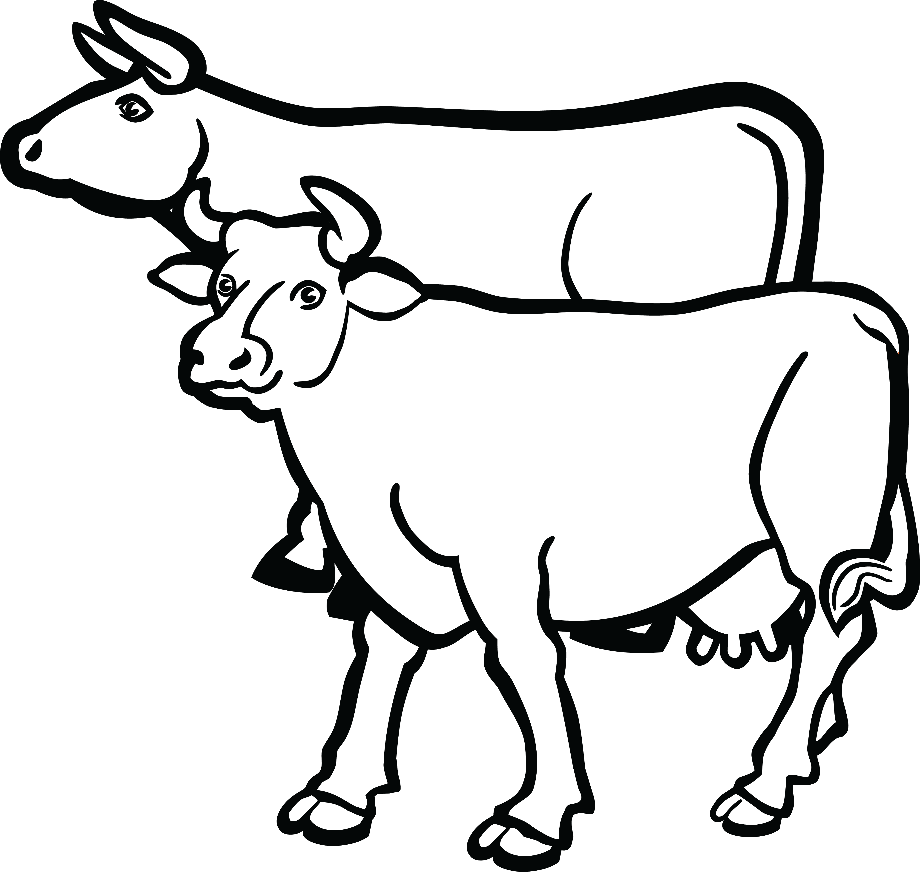 Download High Quality cow clipart black and white holstein Transparent ...