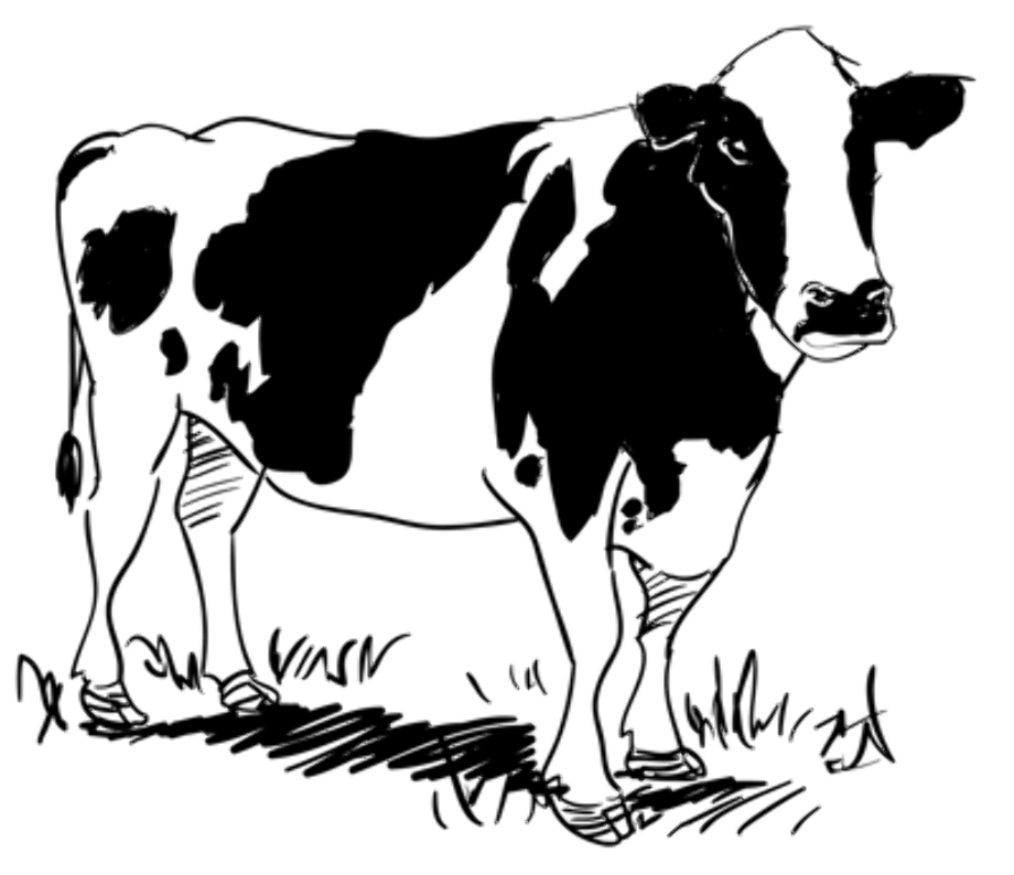Cow clipart black and white realistic.