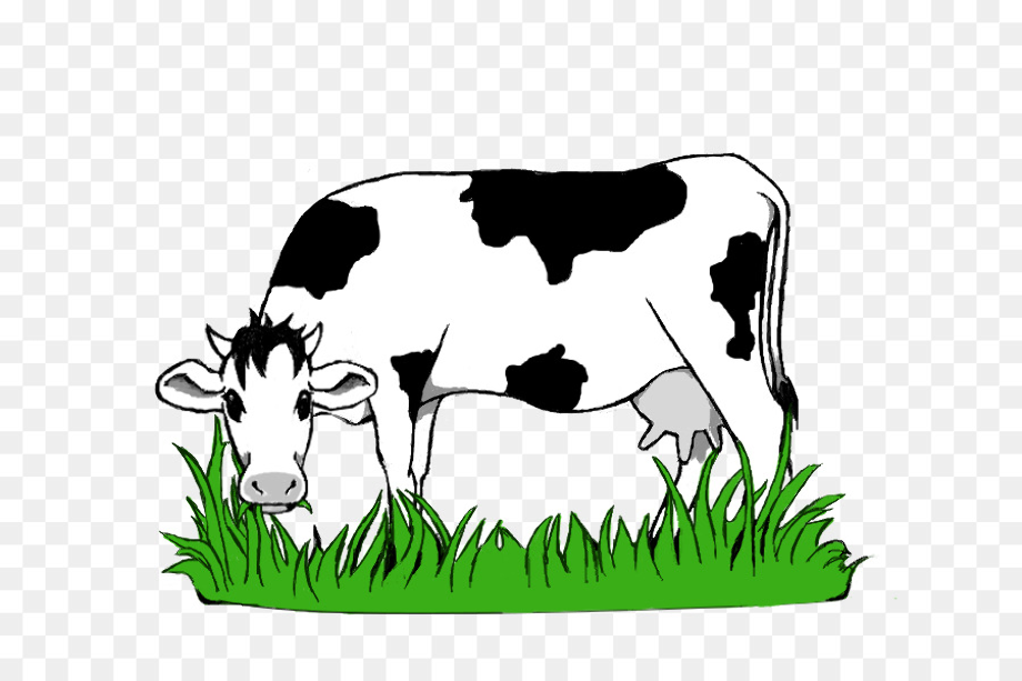 Cow clipart grazing.