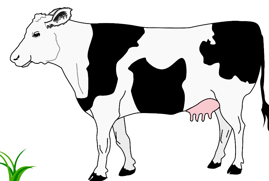 cow clipart black and white vaca