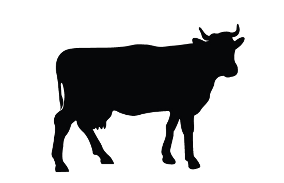 Download Download High Quality cow clipart black and white ...