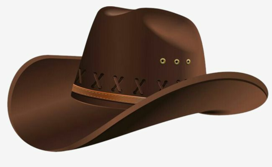cowboy hat transparent woody