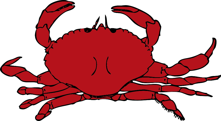 lobster clipart crab