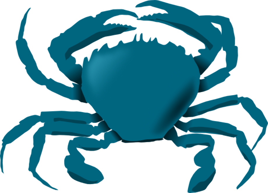 crab clipart drawing