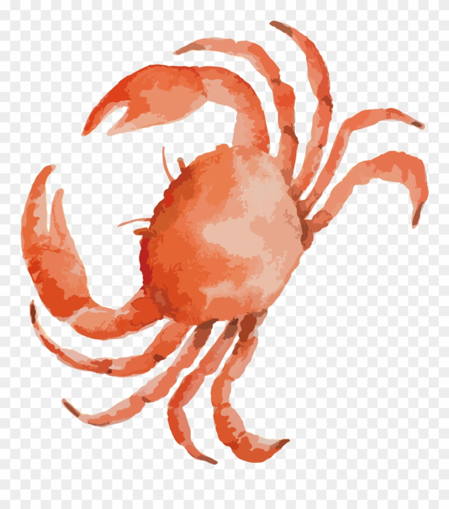 Download High Quality crab clipart watercolor Transparent PNG Images