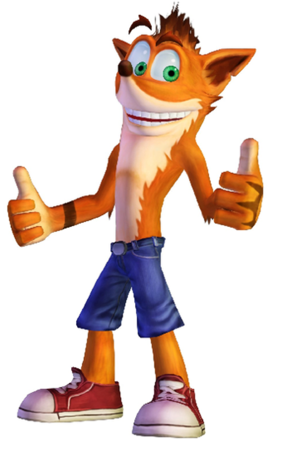 Download High Quality Crash Bandicoot Clipart Character Transparent Png 