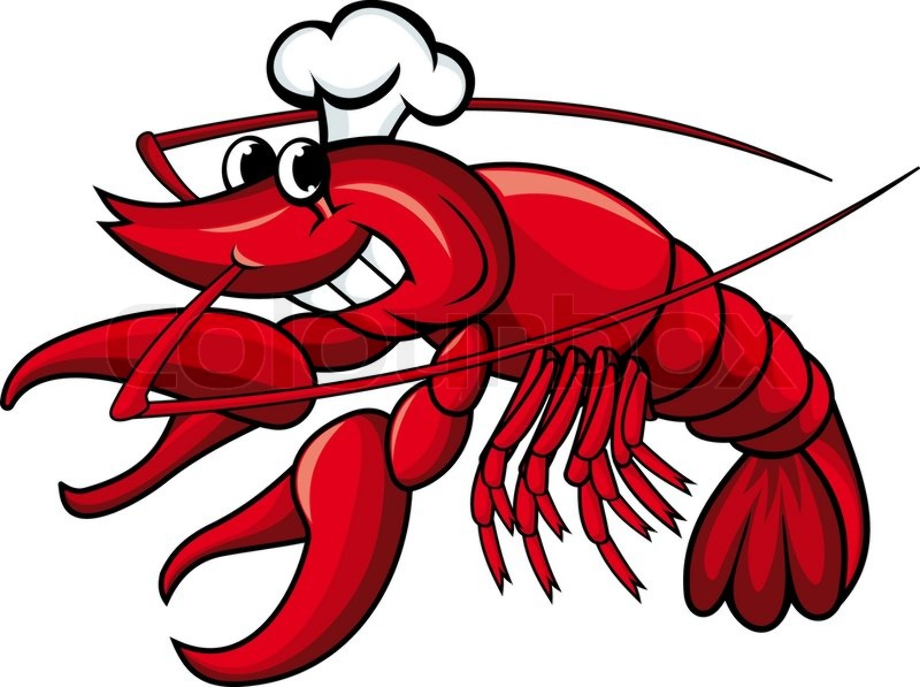 shrimp clipart chef
