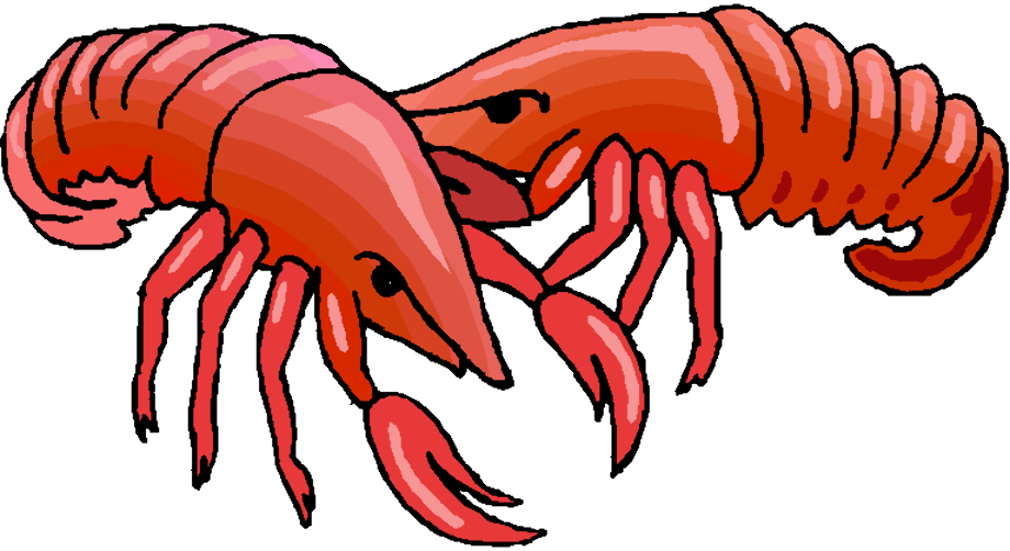 Download High Quality crawfish clipart cute Transparent PNG Images