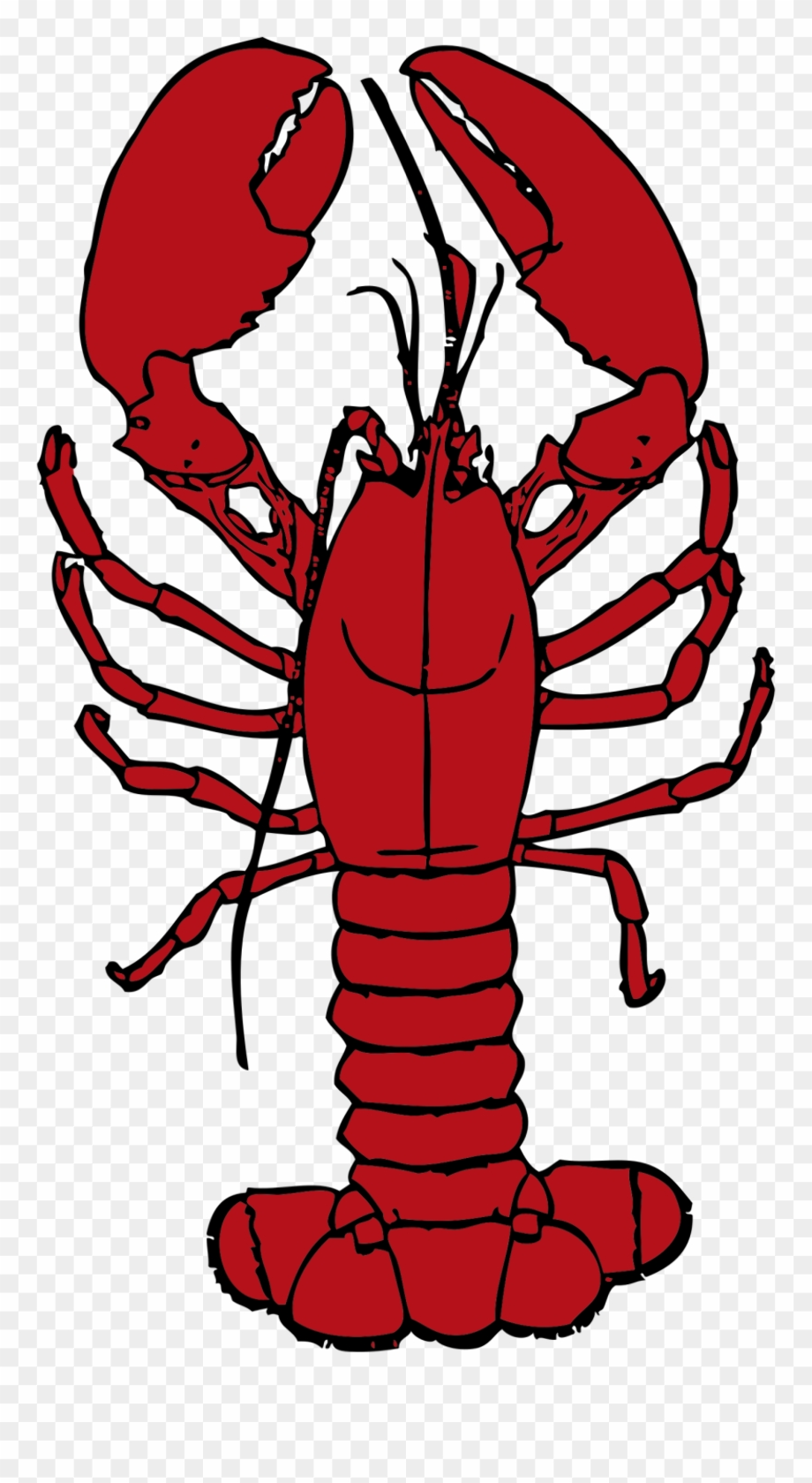 Download High Quality crawfish clipart Transparent PNG Images Art