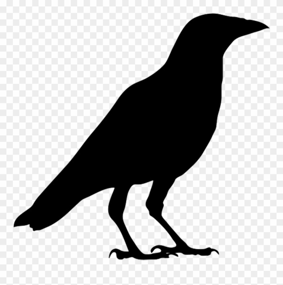 Download High Quality crow clipart simple Transparent PNG Images - Art