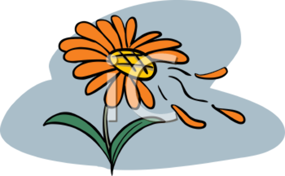 Download High Quality daisy clipart animated Transparent PNG Images