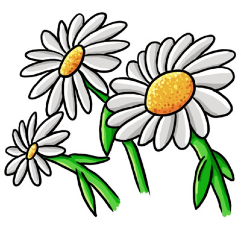 Download High Quality daisy clipart cartoon Transparent PNG Images ...