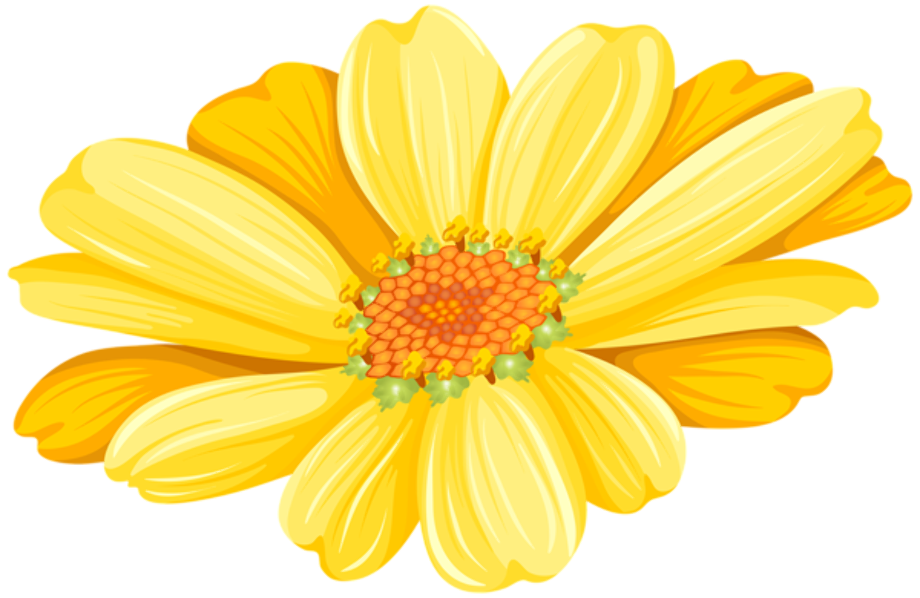 Download Download High Quality daisy clipart light yellow ...