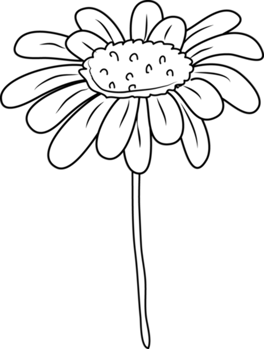 Download High Quality Black And White Flower Clipart Daisy Transparent