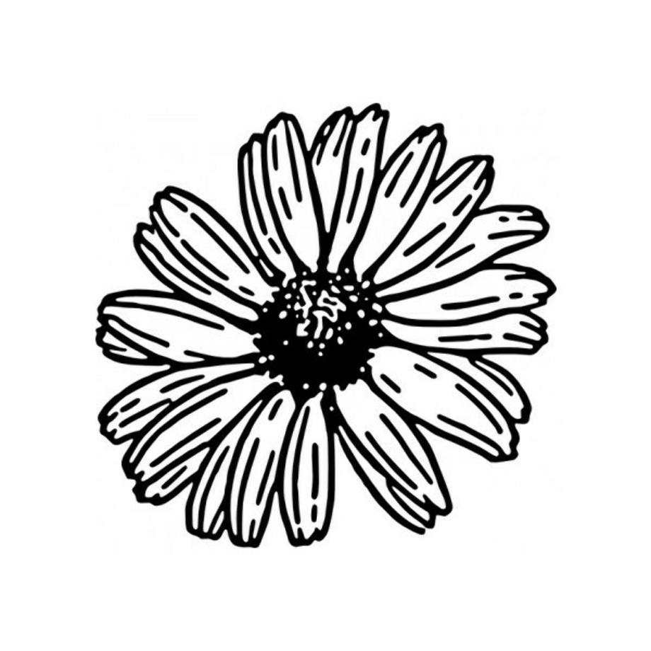 Download High Quality daisy clipart vector Transparent PNG Images - Art