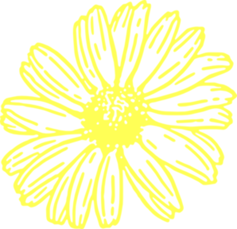 daisy clipart yellow