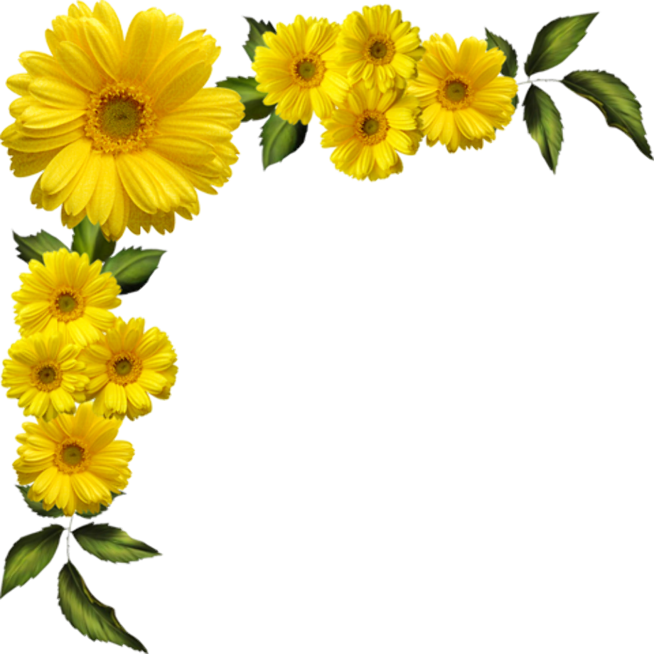 Download High Quality daisy clipart yellow Transparent PNG Images - Art