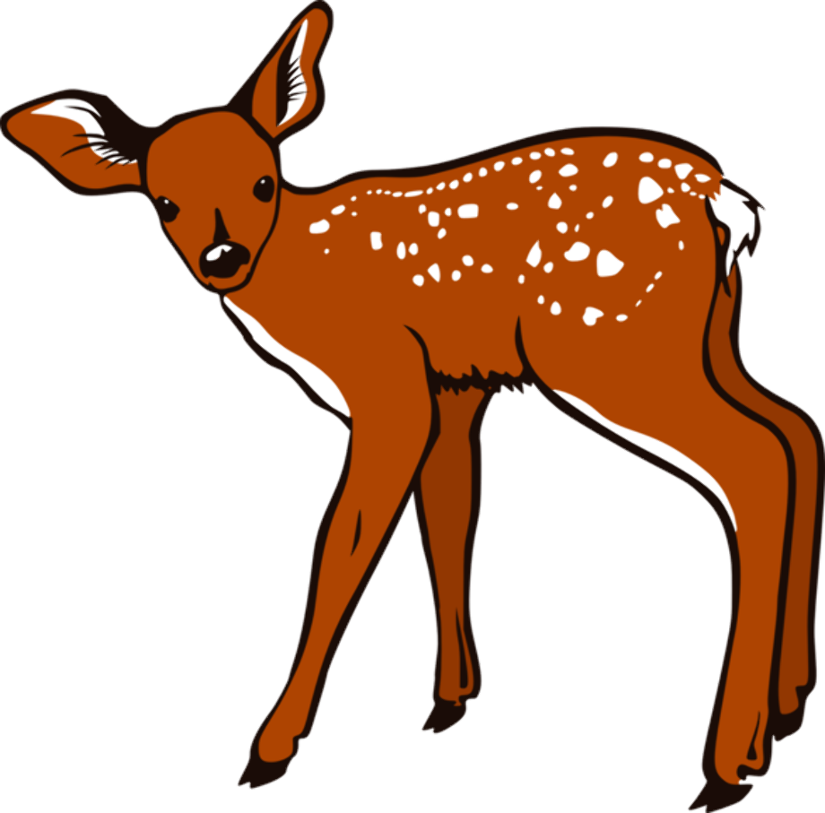 deer clip art whitetail