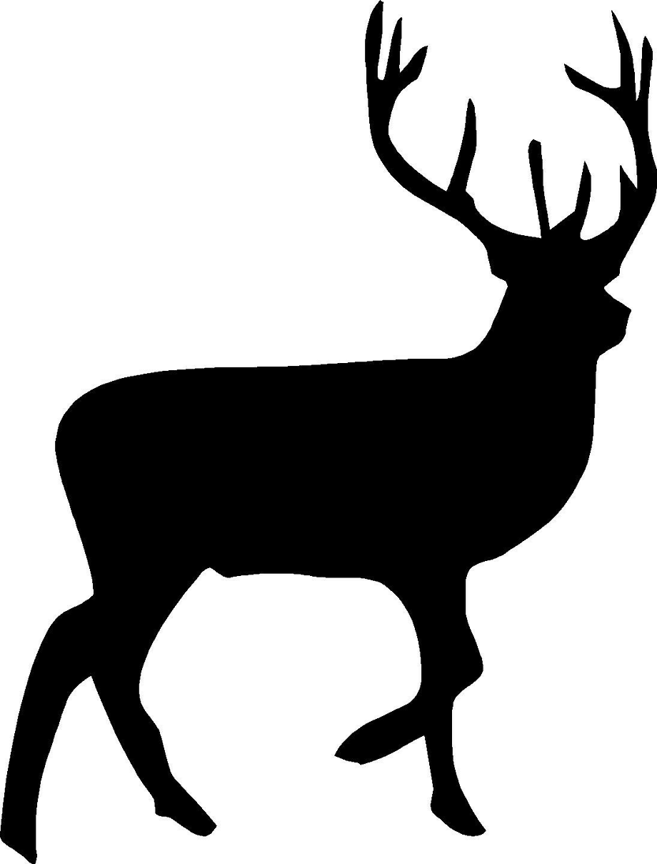 deer clip art buck