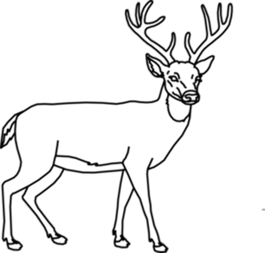 deer clip art outline