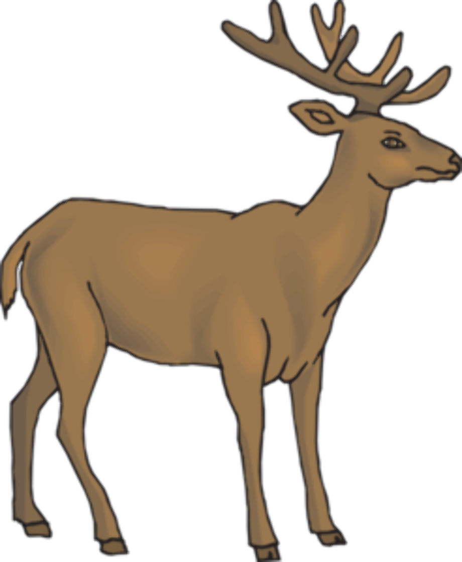 deer clip art realistic