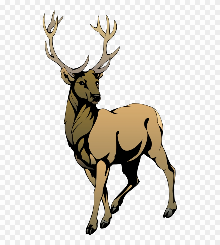 Download High Quality deer clipart stag Transparent PNG Images - Art