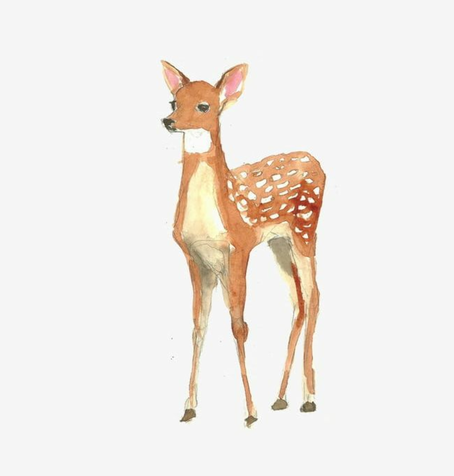deer clip art watercolor
