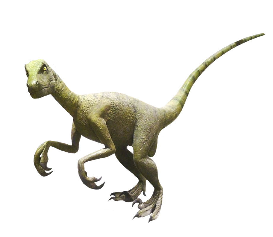 Download High Quality dinosaur clipart realistic Transparent PNG Images
