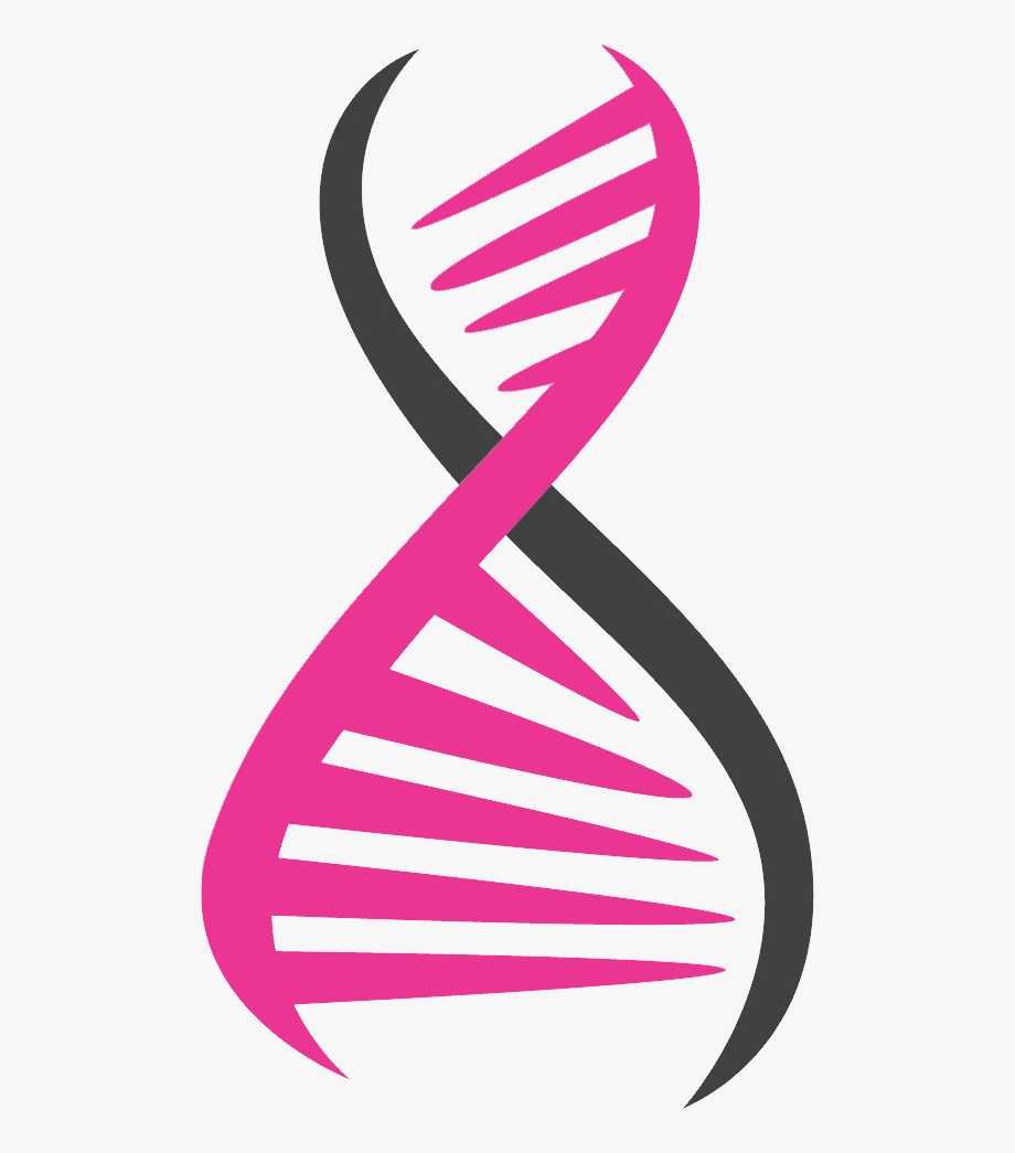 dna clipart pink