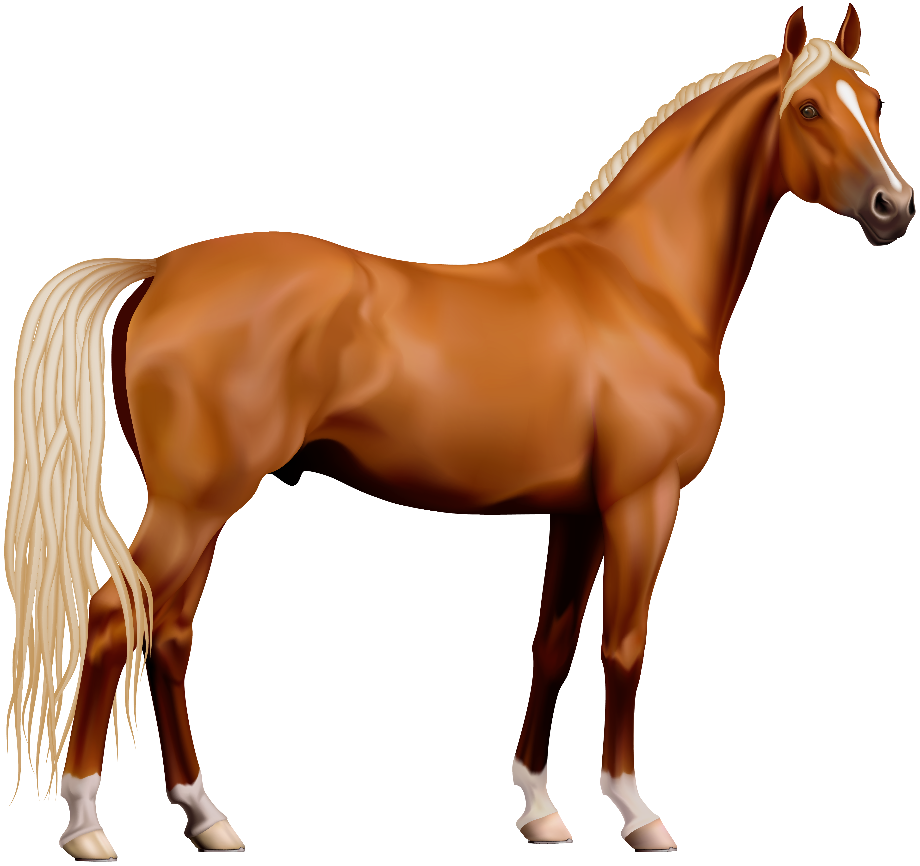 horse clipart real
