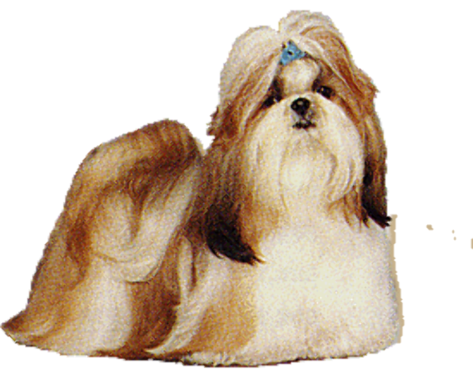 Download High Quality Dog clipart shih tzu Transparent PNG Images - Art
