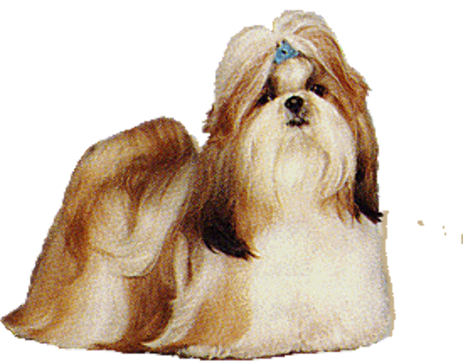 download high quality dog clipart shih tzu transparent png images art