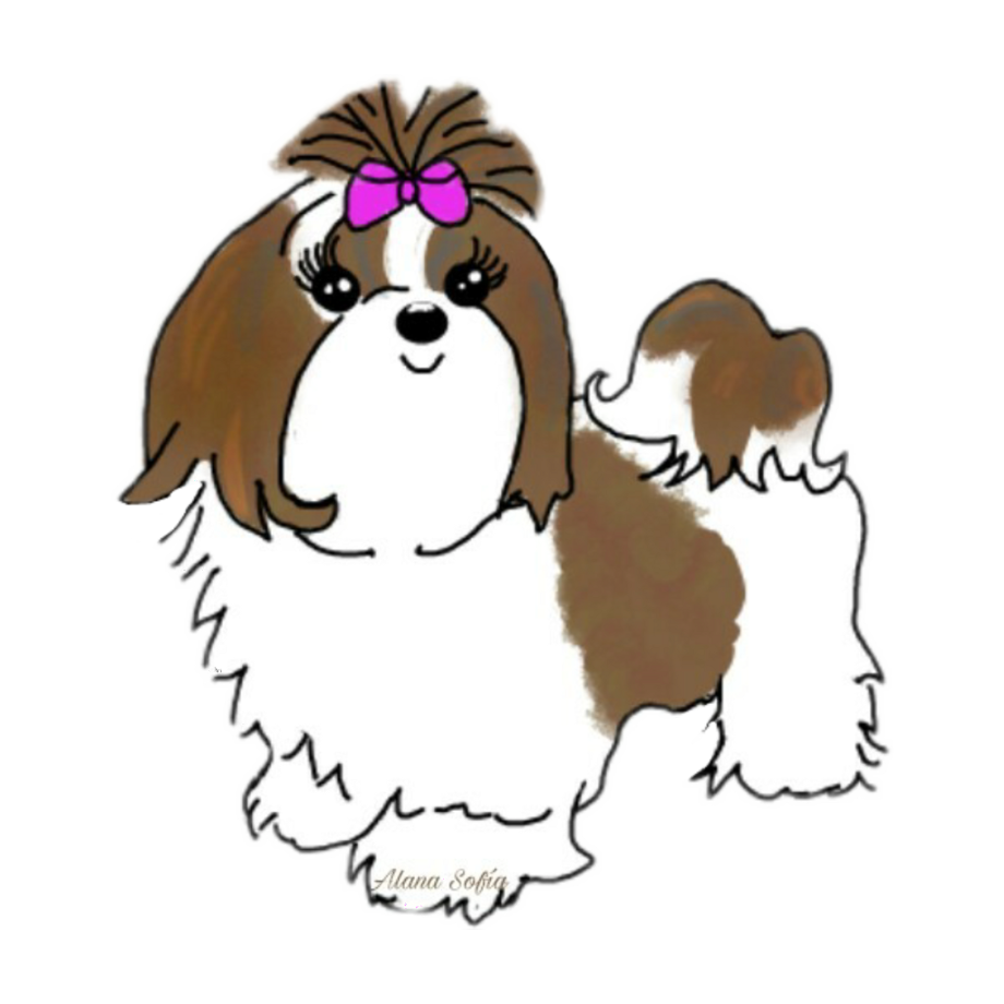 Download High Quality Dog clipart shih tzu Transparent PNG Images - Art