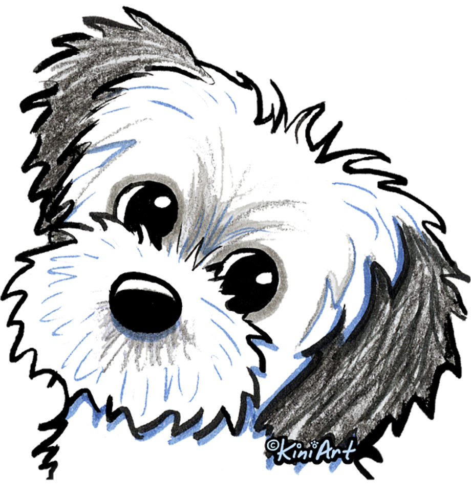 Download High Quality Dog clipart shih tzu Transparent PNG Images - Art