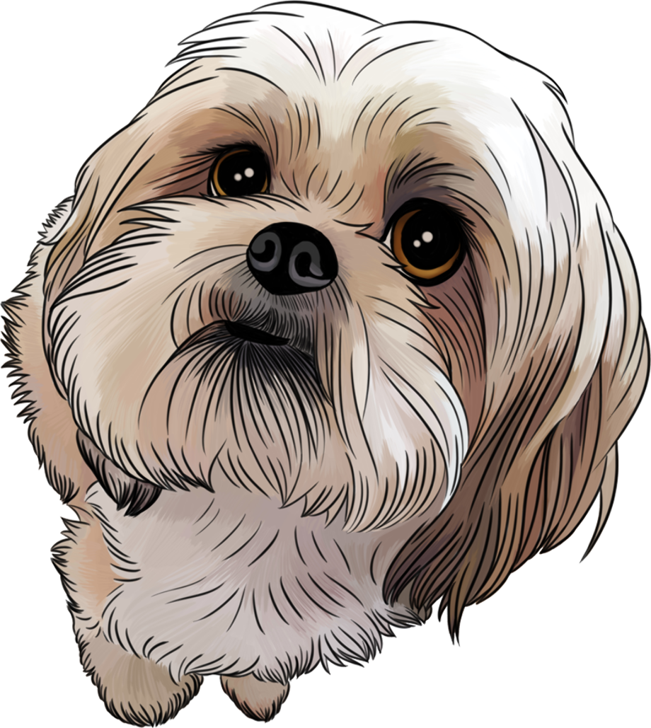 Dog clipart shih tzu