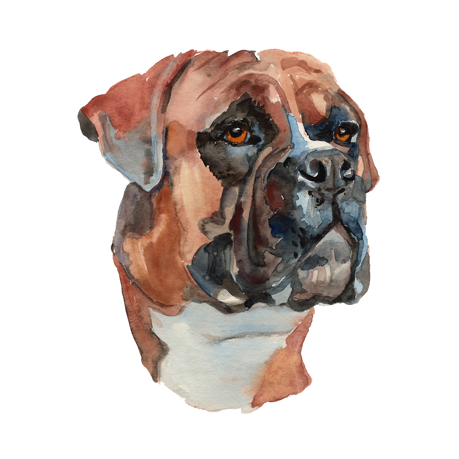 Download High Quality Dog clipart watercolor Transparent PNG Images