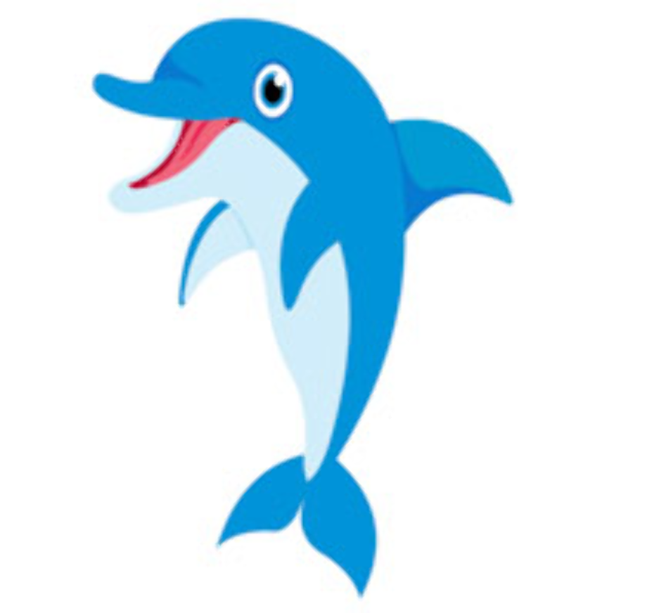 dolphin clipart