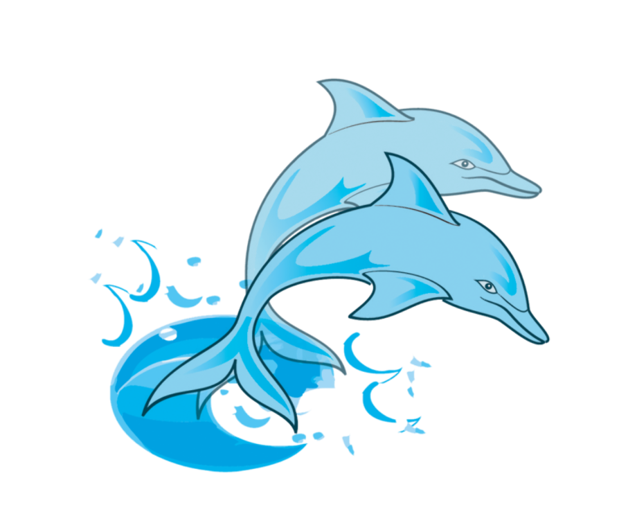 Download High Quality dolphin clipart beach Transparent PNG Images