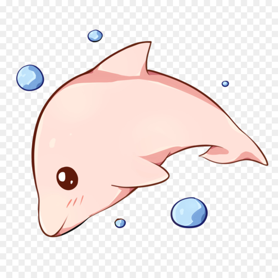 dolphin clipart pink