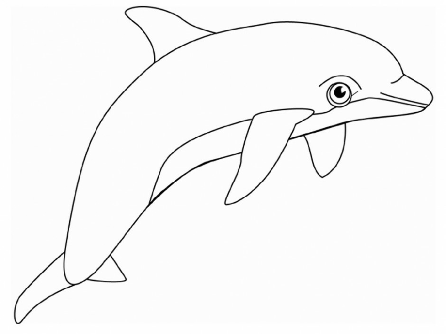 dolphin clipart printable