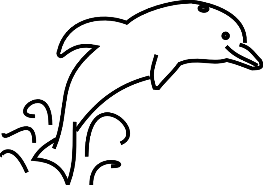 dolphin clipart white
