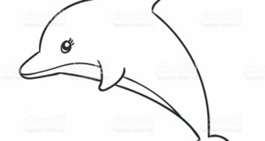 dolphin clipart simple